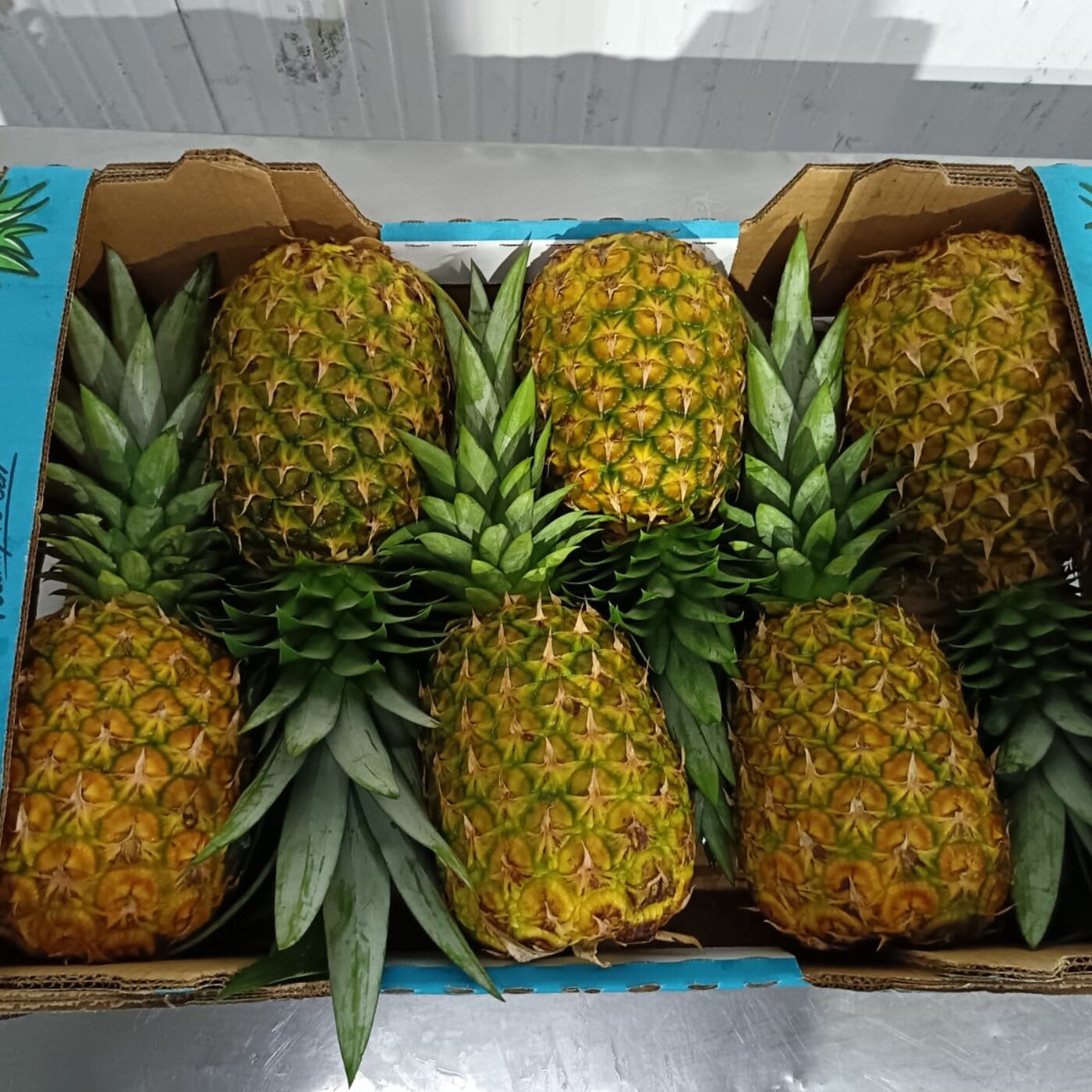 Piña fresca